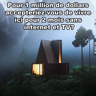 11313793_986321398077866_1715482599_n