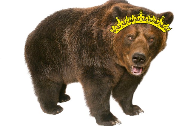 NGS Picture Id:1198177