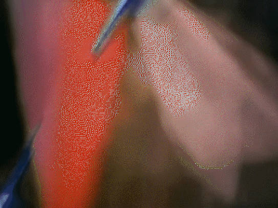 automatic man fucking dies